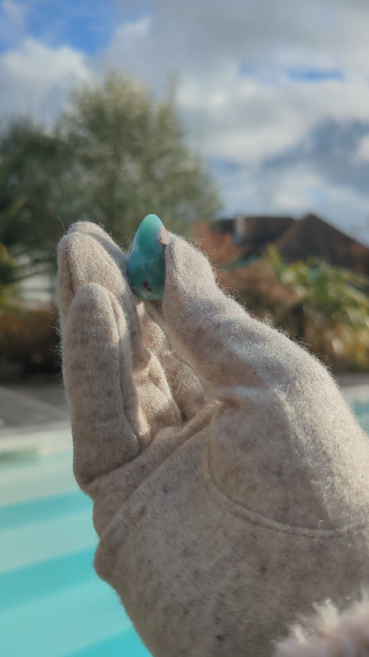 Secret d'Aphrodite Yoni 22